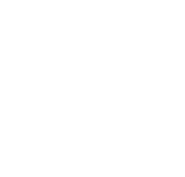 PostNL Logo